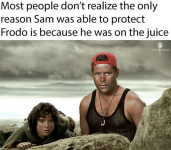 most-people-dont-realize-only-reason-sam-able-protect-frodo-is-because-he-on-juice-hand-meme.png