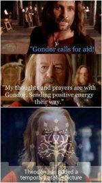 are-with-gondor-sending-positive-energy-their-way-theoden-has-added-temporary-profile-picture.jpeg