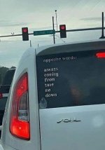 IMG_8744.jpeg