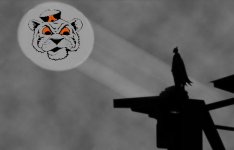 Cat Signal.jpg