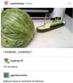 iceberg.jpeg