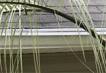 IMG_6973.jpeg
