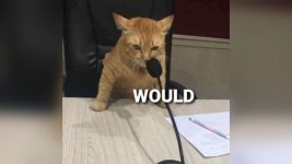 IMG_9405.jpeg
