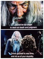 gandalf-the-consistent-v0-w1nh5bb24uyc1.jpg