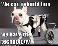 bionicdog.jpeg