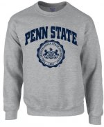 penn_state_crew_neck_sweatshirt_official_seal_gray_nittany_lions_psu_p6447.jpg