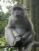 IMG_4522.jpeg