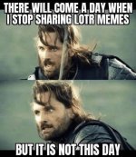 there-will-comeday-stop-sharing-lotr-memes-but-is-not-this-day.jpg