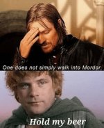 one-does-not-simply-walk-into-mordor-hold-my-beer.jpg