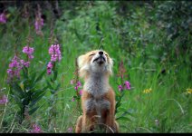 IMG_5579.jpeg