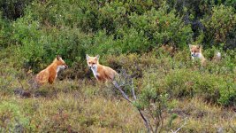 IMG_5582.jpeg