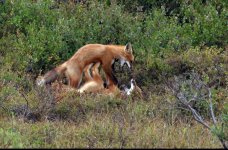 IMG_5583.jpeg