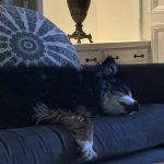 IMG_0467.jpeg