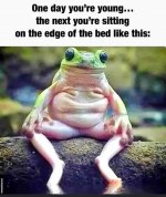 Happy Birthday Frog.jpg