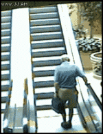 IMG_3984.gif
