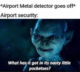 airport-metal-detector-goes-off-airport-security-has-got-its-nasty-little-pocketses.jpg