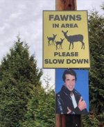 fawns-area-please-slow-down.jpg