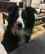 IMG_0519.jpeg