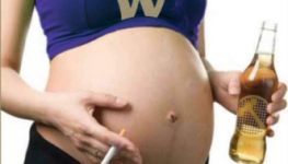 pregant huskies.png