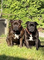 IMG_5800.jpeg