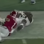 barncatch3.png