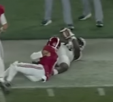 barncatch2.png