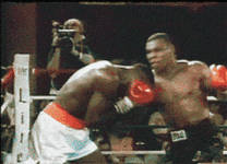 IMG_2503.gif