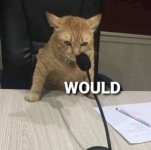 IMG_0971.jpeg