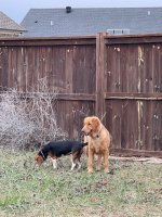IMG_8173.jpeg