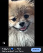 IMG_0478.jpeg