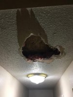 IMG_1076.jpeg
