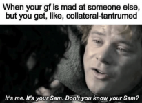 gf-is-mad-at-someone-else-but-get-like-collateral-tantrumed-s-s-sam-dont-know-sam.png