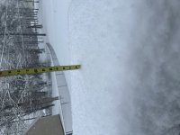 IMG_3529.jpeg