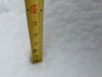 IMG_1331.jpg