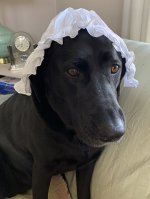libbygirl.jpg