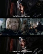 funniest-lord-of-the-rings-memes-6-1.jpg