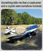 1736947929848.jpeg