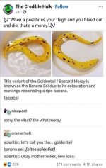 1000017433.jpg