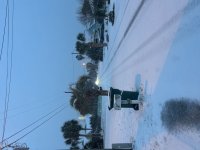 IMG_4419.jpeg