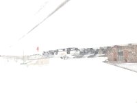 20250121_152113.jpg
