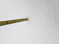 20250121_163207.jpg