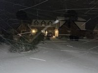IMG_7341.jpeg