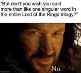 but-dont-wish-said-more-than-like-one-singular-word-entire-lord-rings-trilogy-imgflipcom-67al...jpeg