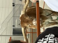 IMG_4282.jpeg