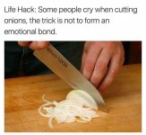 1000018047.jpg