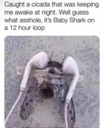 IMG_8467.jpeg