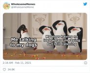 1738960276833.jpeg
