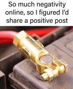 1000018181.jpg
