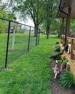IMG_4786.jpeg