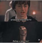 _pottermemes-siyasaheyesihayeith-dafuq-u-sayin-bro.jpg